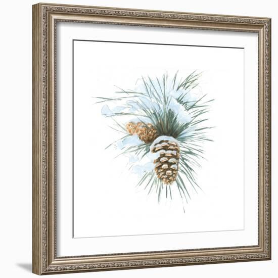 Into the Woods Pinecone II-Emily Adams-Framed Art Print