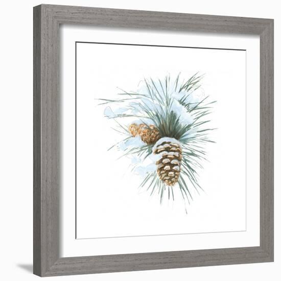 Into the Woods Pinecone II-Emily Adams-Framed Art Print