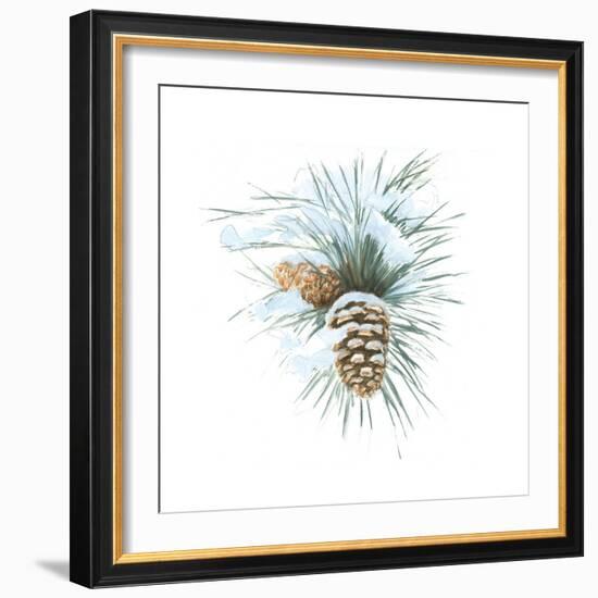 Into the Woods Pinecone II-Emily Adams-Framed Art Print