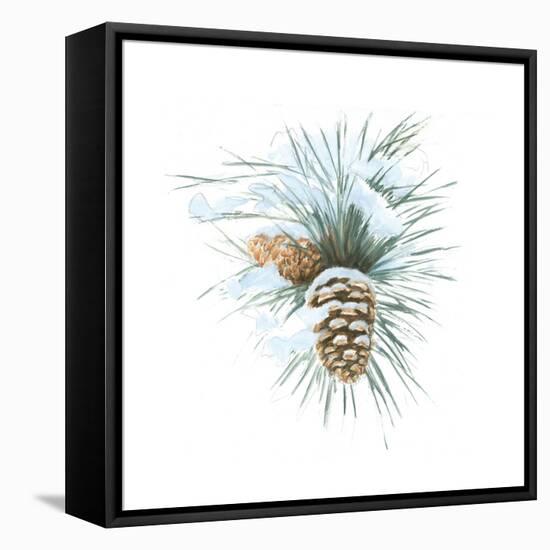 Into the Woods Pinecone II-Emily Adams-Framed Stretched Canvas