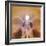 Intracranial Berry Aneurysm, X-ray-ZEPHYR-Framed Premium Photographic Print