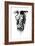 Intrinsic-Pez-Framed Premium Giclee Print