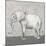 Introspective Elephant-Elizabeth Medley-Mounted Photographic Print