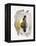 Intuition VI-Rikki Drotar-Framed Premier Image Canvas