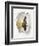 Intuition VI-Rikki Drotar-Framed Giclee Print