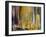 Intuition VIII-Sisa Jasper-Framed Art Print