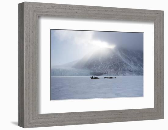 Inuit Hunter and His Dog Team Travelling on the Sea Ice, Greenland, Denmark, Polar Regions-Louise Murray-Framed Photographic Print