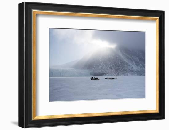 Inuit Hunter and His Dog Team Travelling on the Sea Ice, Greenland, Denmark, Polar Regions-Louise Murray-Framed Photographic Print