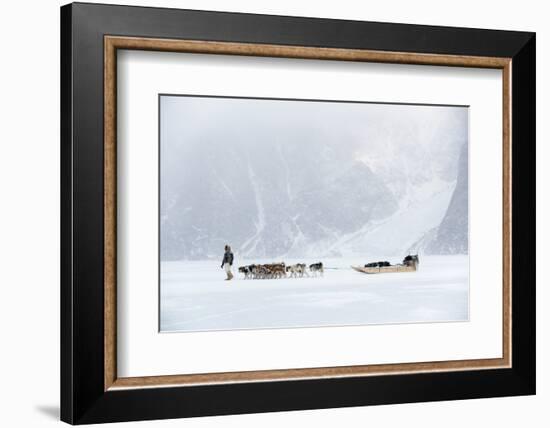 Inuit Hunter Walking His Dog Team on the Sea Ice in a Snow Storm, Greenland, Denmark, Polar Regions-Louise Murray-Framed Photographic Print