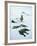 Inuit Man Fishing for Halibut, Greenland, Polar Regions-Jack Jackson-Framed Photographic Print