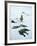 Inuit Man Fishing for Halibut, Greenland, Polar Regions-Jack Jackson-Framed Photographic Print