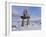 Inukshuk Marker at Aupalaqtuq Point, Cape Dorset, Baffin Island, Canadian Arctic, Canada-Alison Wright-Framed Photographic Print