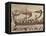 Invasion Fleet, Bayeux Tapestry, France-Walter Rawlings-Framed Premier Image Canvas