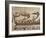 Invasion Fleet, Bayeux Tapestry, France-Walter Rawlings-Framed Photographic Print