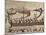Invasion Fleet, Bayeux Tapestry, France-Walter Rawlings-Mounted Photographic Print