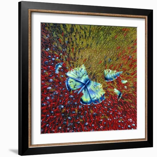 Invasion of Ants, 1996-Tamas Galambos-Framed Giclee Print