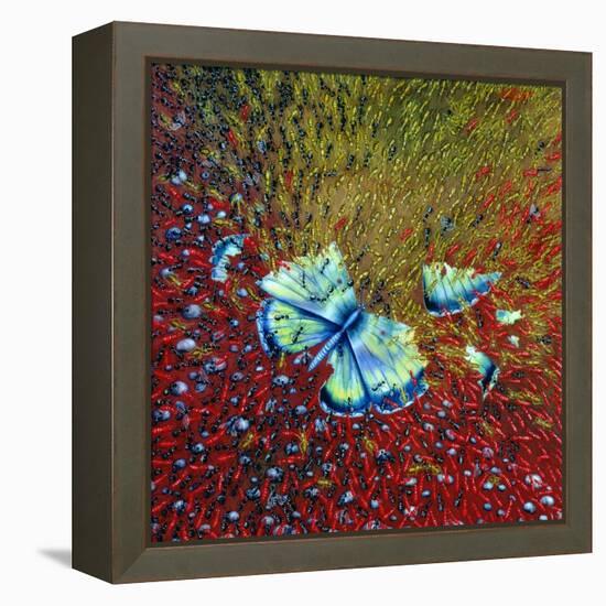 Invasion of Ants, 1996-Tamas Galambos-Framed Premier Image Canvas