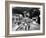 Invasion Of The Body Snatchers, Dana Wynter, Kevin McCarthy, 1956-null-Framed Photo