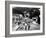 Invasion Of The Body Snatchers, Dana Wynter, Kevin McCarthy, 1956-null-Framed Photo