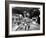 Invasion Of The Body Snatchers, Dana Wynter, Kevin McCarthy, 1956-null-Framed Photo