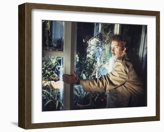 Invasion Of The Body Snatchers (photo)-null-Framed Photo