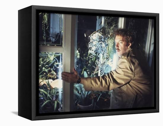 Invasion Of The Body Snatchers (photo)-null-Framed Stretched Canvas