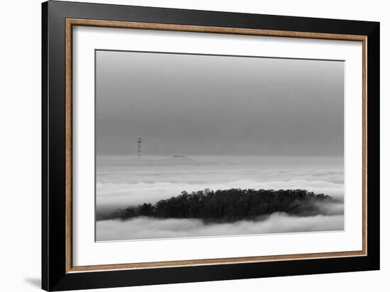Invasives-Geoffrey Ansel Agrons-Framed Photographic Print
