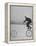 Inventor Maurice Steinlauf Riding Eccentric Bike with Roving Front Wheel-Wallace Kirkland-Framed Premier Image Canvas