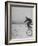 Inventor Maurice Steinlauf Riding Eccentric Bike with Roving Front Wheel-Wallace Kirkland-Framed Photographic Print