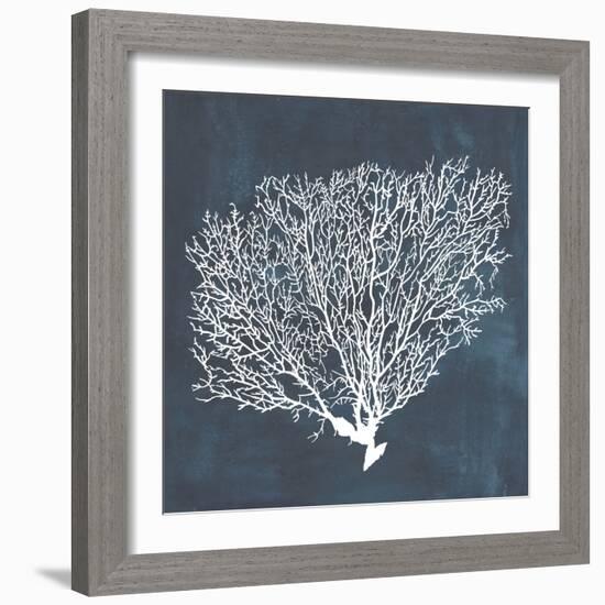 Inverse Sea Fan II-Grace Popp-Framed Art Print