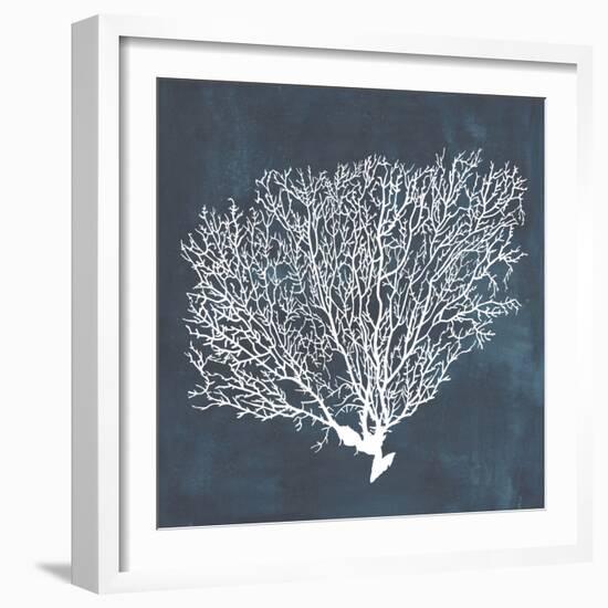 Inverse Sea Fan II-Grace Popp-Framed Art Print