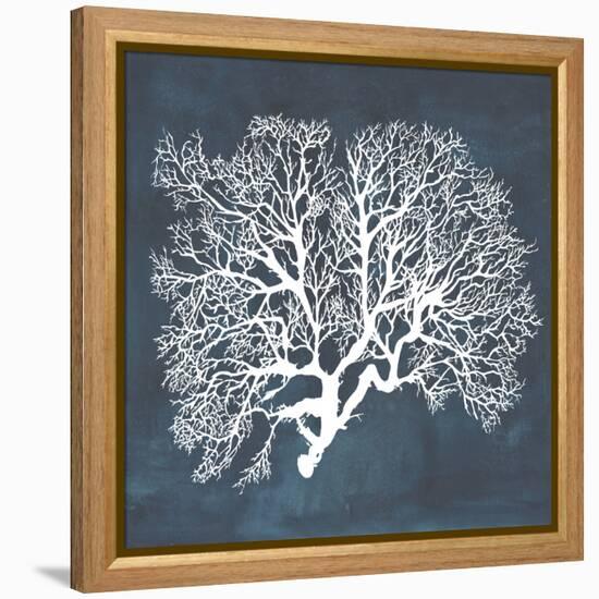 Inverse Sea Fan III-Grace Popp-Framed Stretched Canvas