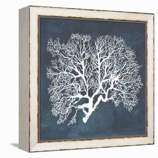 Inverse Sea Fan III-Grace Popp-Framed Stretched Canvas