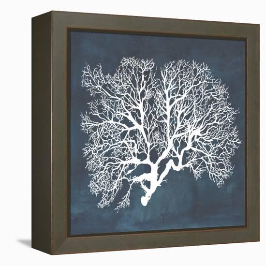 Inverse Sea Fan III-Grace Popp-Framed Stretched Canvas