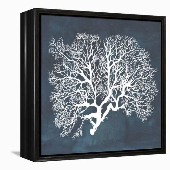 Inverse Sea Fan III-Grace Popp-Framed Stretched Canvas