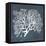 Inverse Sea Fan III-Grace Popp-Framed Stretched Canvas