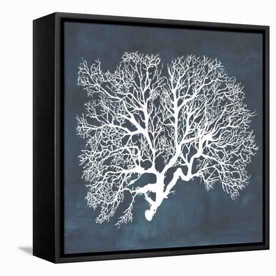 Inverse Sea Fan III-Grace Popp-Framed Stretched Canvas