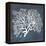 Inverse Sea Fan III-Grace Popp-Framed Stretched Canvas