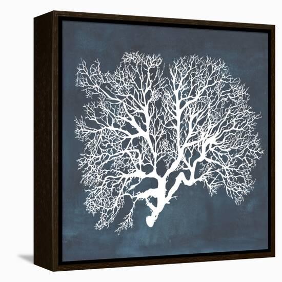 Inverse Sea Fan III-Grace Popp-Framed Stretched Canvas