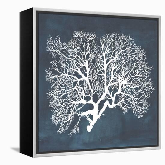 Inverse Sea Fan III-Grace Popp-Framed Stretched Canvas