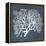 Inverse Sea Fan III-Grace Popp-Framed Stretched Canvas