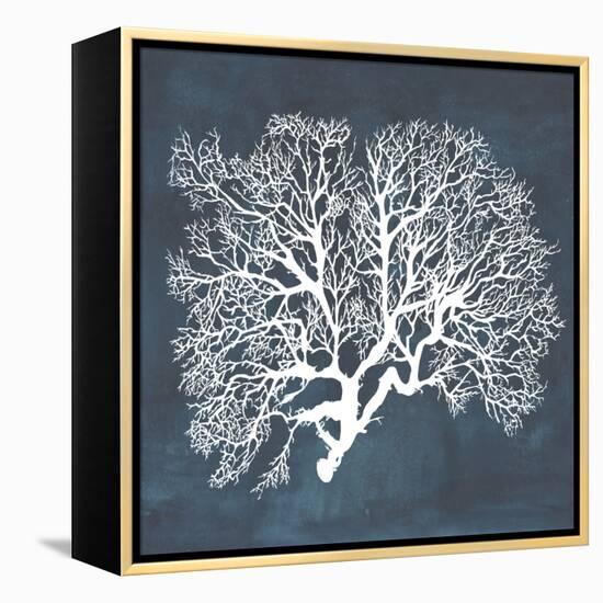 Inverse Sea Fan III-Grace Popp-Framed Stretched Canvas