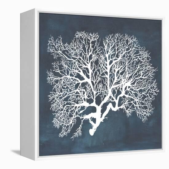 Inverse Sea Fan III-Grace Popp-Framed Stretched Canvas