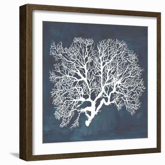 Inverse Sea Fan III-Grace Popp-Framed Art Print