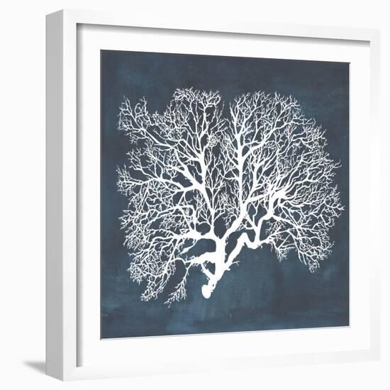 Inverse Sea Fan III-Grace Popp-Framed Art Print