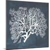 Inverse Sea Fan III-Grace Popp-Mounted Art Print