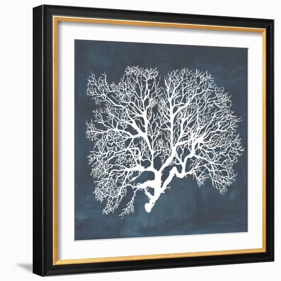 Inverse Sea Fan III-Grace Popp-Framed Art Print