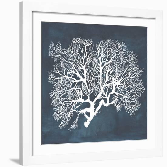 Inverse Sea Fan III-Grace Popp-Framed Giclee Print