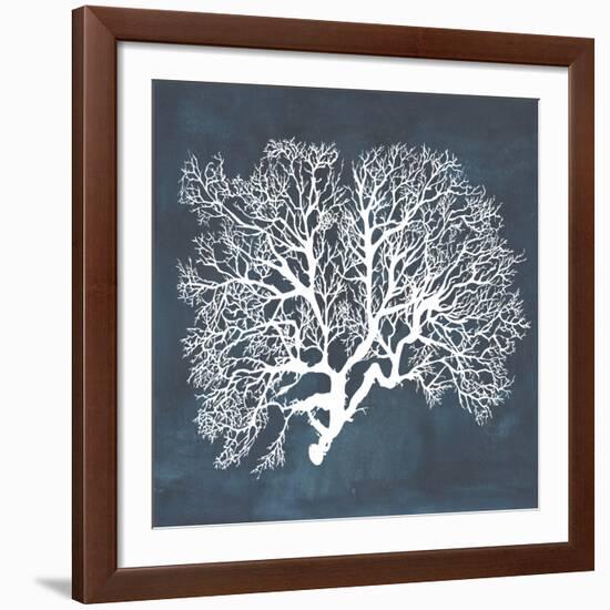 Inverse Sea Fan III-Grace Popp-Framed Giclee Print