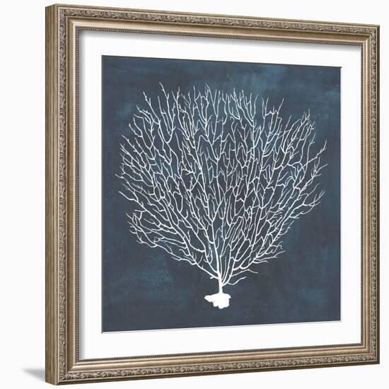 Inverse Sea Fan IV-Grace Popp-Framed Art Print